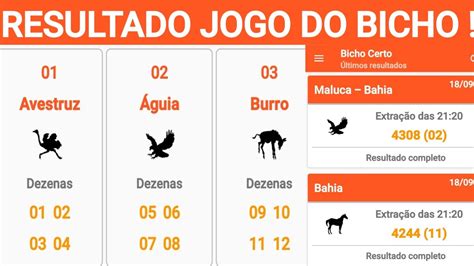 resultado do jogo do bicho de ontem sergipe